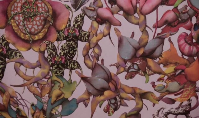 Miron Schmückle - Una Terza Natura